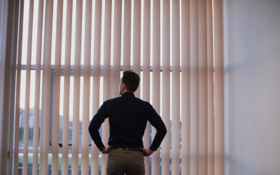 Żaluzje pionowe osłona okienna